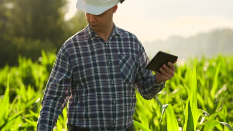 Agricultor-Que-Utiliza-Una-Tableta-Digital-Cultivando-Una-Plantación-De-Maíz-En-El-Fondo.-Aplicación-De-Tecnología-Moderna-En-El-Concepto-De-Actividad-Agrícola-Creciente.